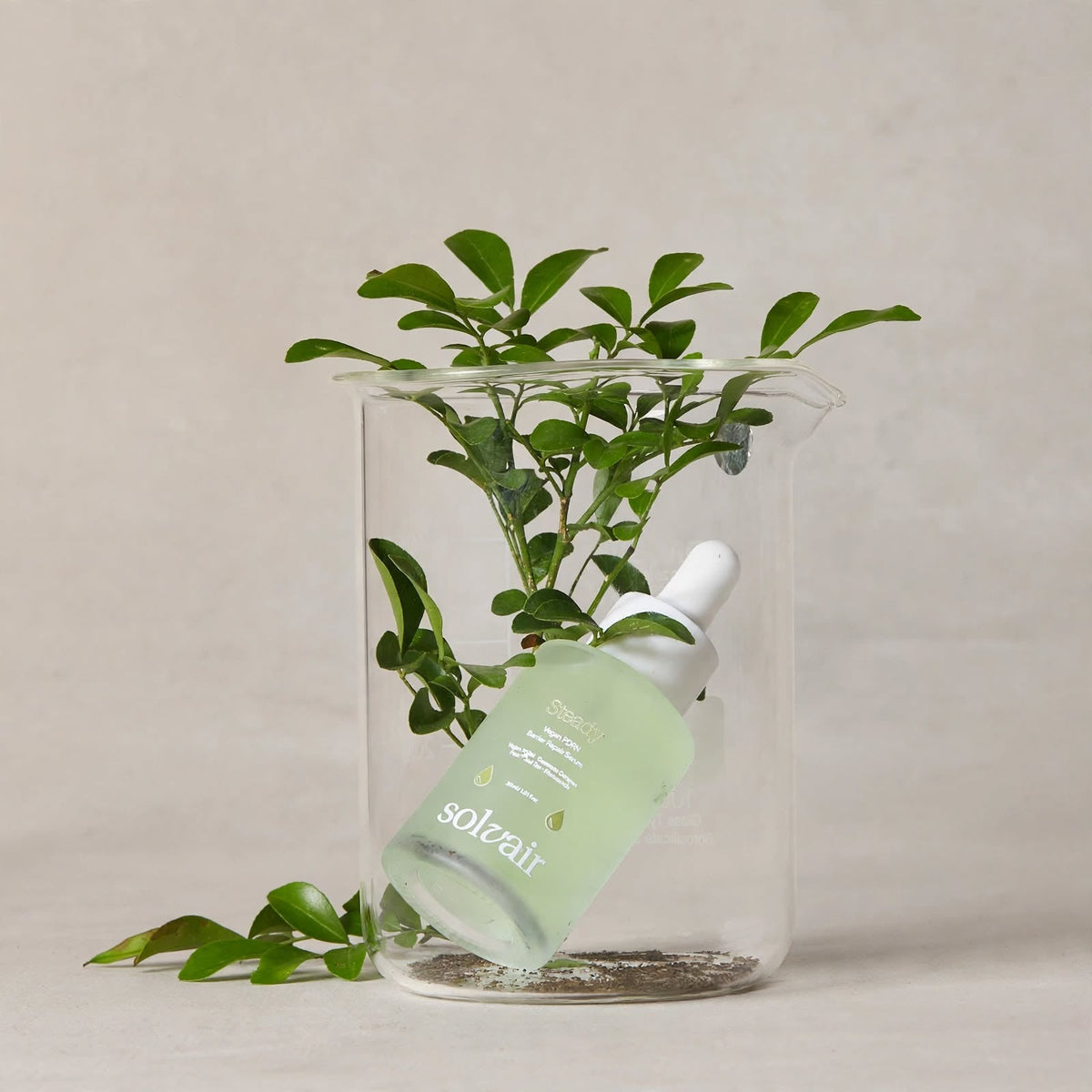 STEADY serum beside a glass with green leaves